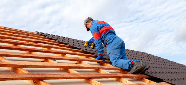 Best Roof Maintenance and Cleaning  in Spring Lake, MI