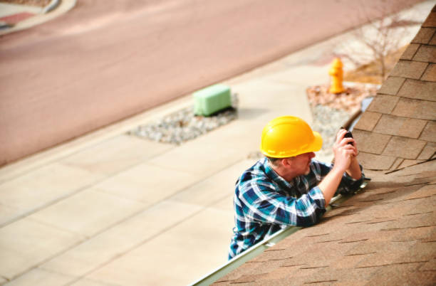 Best Roof Moss and Algae Removal  in Spring Lake, MI