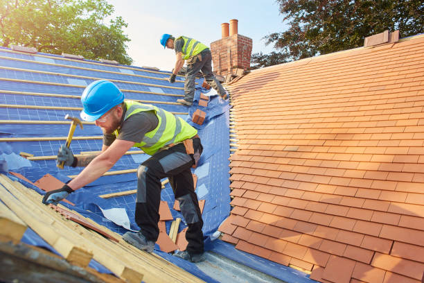 Best Roof Coating and Sealing  in Spring Lake, MI