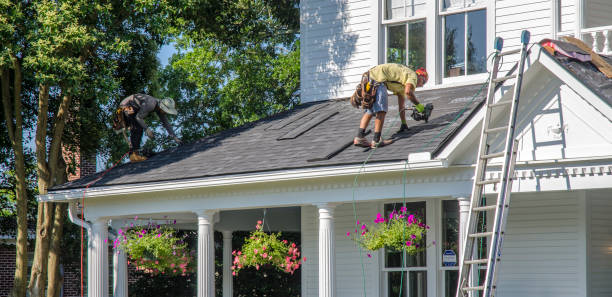 Best Roof Ventilation Installation  in Spring Lake, MI